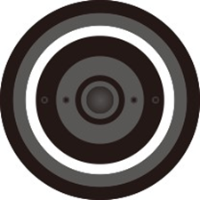 Picture39.png